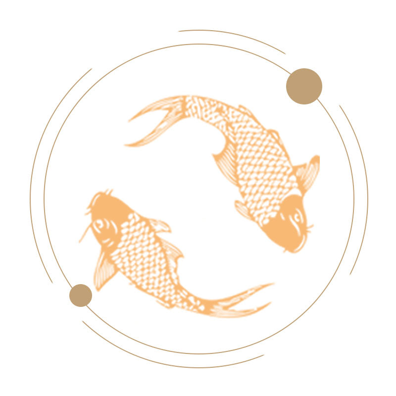 KOI VIS