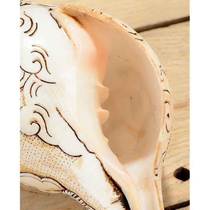 Tibetaanse handgemaakte gegraveerde Shankha Boeddha Avalokitesvara Conch Shell rijkdom decoratie - image 5