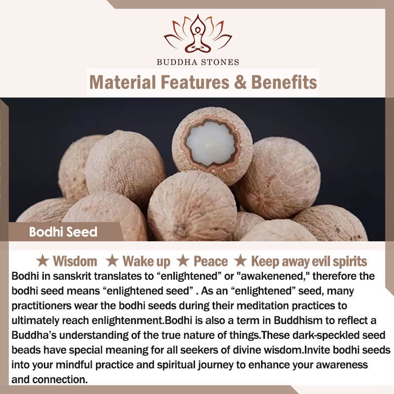 Buddha Stones Zilveren Obsidiaan Bodhizaad Ivoor Fruit Dansende Leeuw Armband - image 17